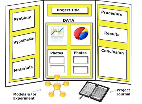 Science Fair Display Board Example